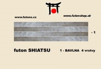 3842095-prurez shiatsu.jpg