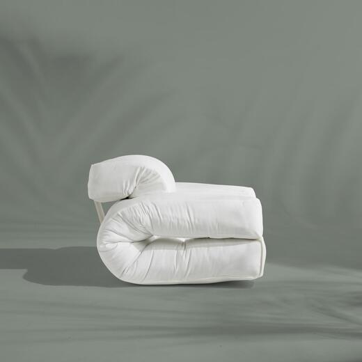 3842101-karup hippo.jpg