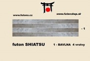 3842095-prurez shiatsu.jpg