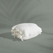 3842113-sitandsleep2.jpg